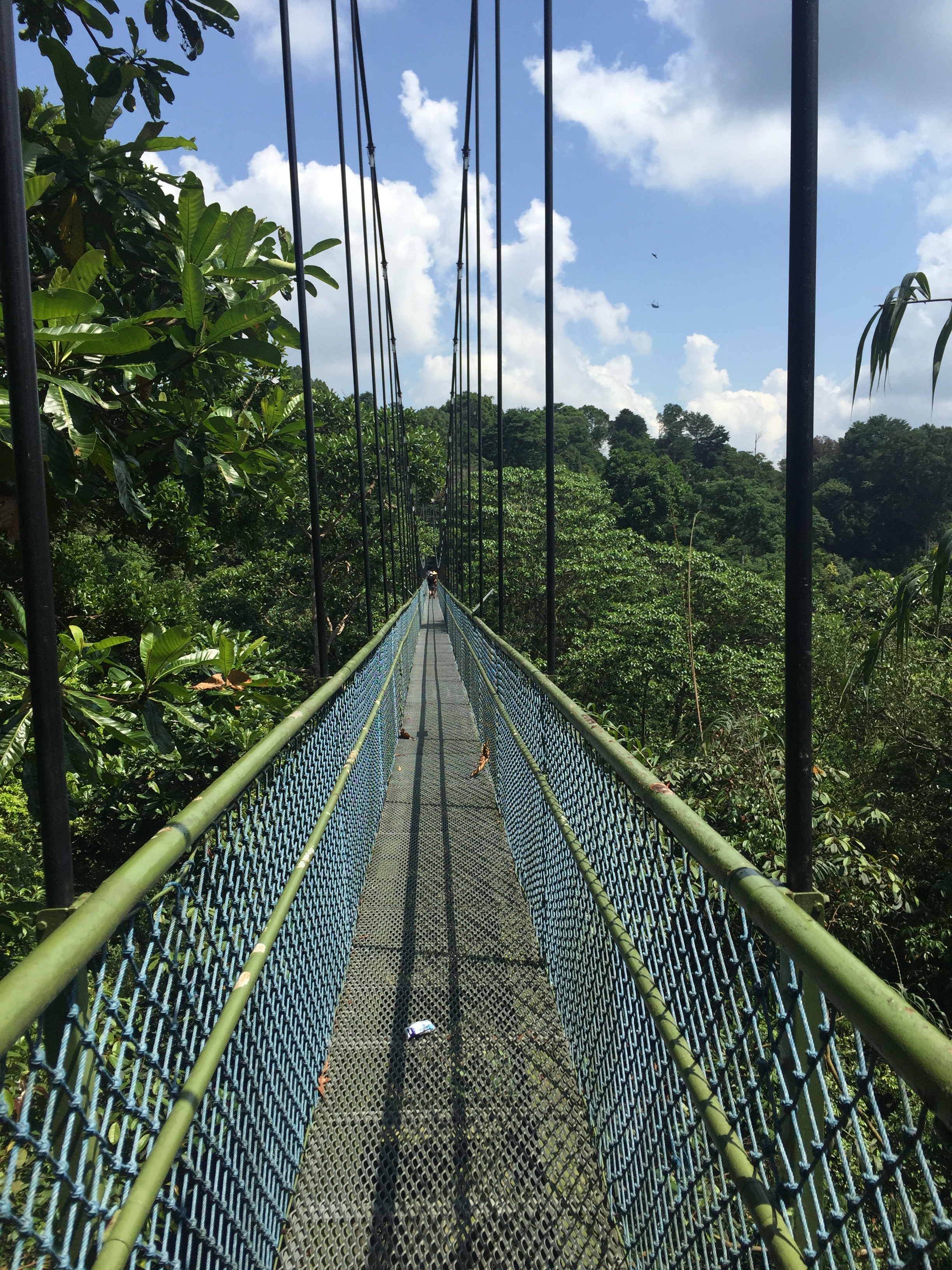 macritchie